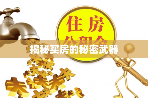 昭通揭秘买房的秘密武器