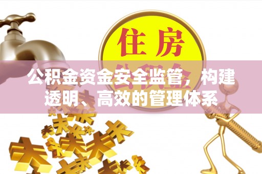 昭通公积金资金安全监管，构建透明、高效的管理体系